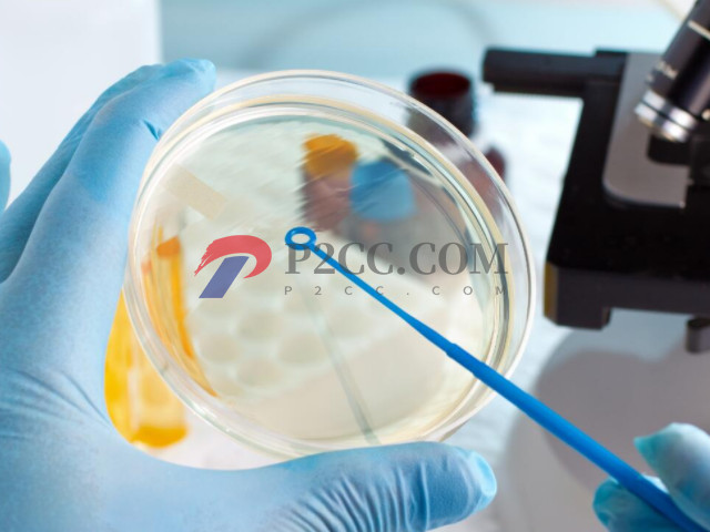 三代试管详细流程讲解,从前期检查到移植大概就2至3个月(图2) 三代试管过程大约需要2-3个月