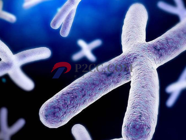 4种传男不传女的遗传病盘点,如有必要请选择第三代试管助孕(图1) 传男不传女的4种遗传病