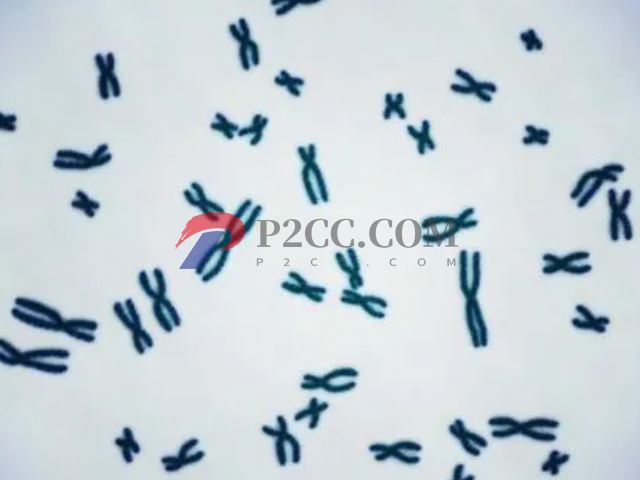 4种传男不传女的遗传病盘点,如有必要请选择第三代试管助孕(图2) 血友病属于连锁隐性遗传