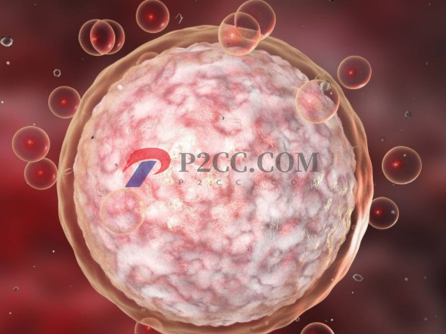 女性备孕期多吃这5种助孕食物,长期吃能养出“高颜值”卵泡(图1) 优质的卵泡怀孕几率才高