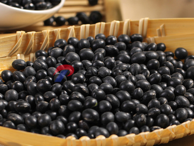 女性备孕期多吃这5种助孕食物,长期吃能养出“高颜值”卵泡(图2) 黑豆中含有雌激素