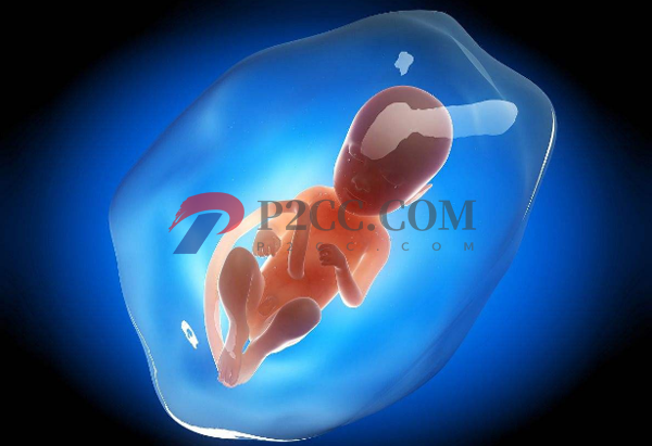 四川成都第三代世预赛直播免费观看一览,适合自己的才是最好的(图2) 目前成都有两家医院可以做第三代试管