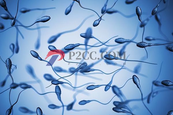 人工授精男性精子标准有5点,这些条件和要求可做了解(图1) 做人工授精男性精子要满足标准