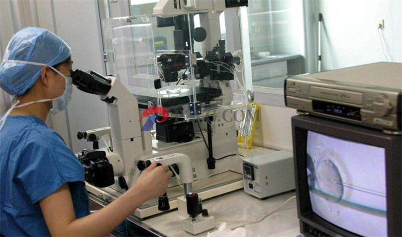 泰国三代试管婴儿:月经长期不规律的人很难怀孕吗?(图2) 泰国三代试管婴儿:月经长期不规律的人很难怀孕吗?(图2)