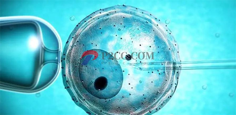 为生男孩引产13次,第三代试管婴儿直接满足愿望!(图2) 为生男孩引产13次,第三代试管婴儿直接满足愿望!(图2)