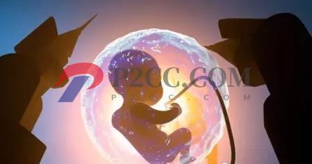 怀孕33周到36周,胎儿发育成什么样呢?看看你家胎宝宝发育达标吗!(图1) 怀孕33周到36周,胎儿发育成什么样呢?看看你家胎宝宝发育达标吗!(图1)