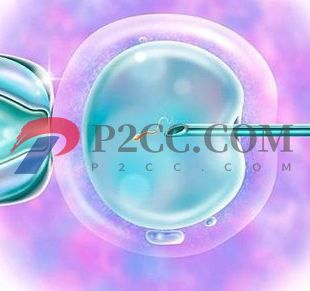 女性超过45岁,还可以做试管婴儿吗?(图2) 女性超过45岁,还可以做试管婴儿吗?(图2)