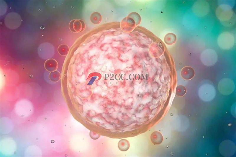 促排针or促排药:扎针与口服!哪种效果好?(图2) 促排针or促排药:扎针与口服!哪种效果好?(图2)