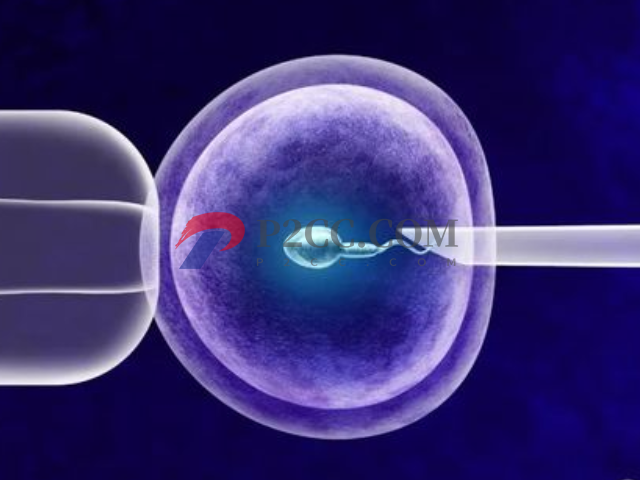 做试管单次成功率达100%不是梦,请提前做好这些准备(图1) 试管成功率因人而异