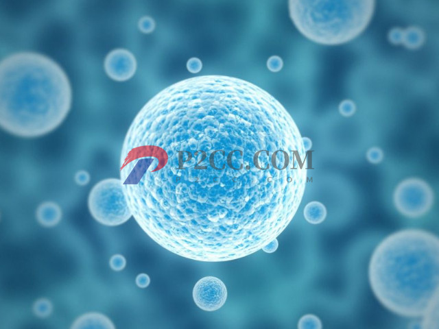 做试管单次成功率达100%不是梦,请提前做好这些准备(图3) 胚胎质量影响试管成功率