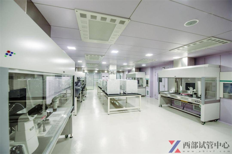 参与完成中国西部首例“试管婴儿”资深专家刘红,权威加盟重庆北部妇产医院! (图2) 参与完成中国西部首例“试管婴儿”资深专家刘红,权威加盟重庆北部妇产医院! (图2)