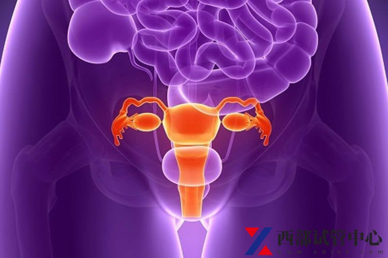 自贡市妇幼保健院(图2) 自贡市妇幼保健院