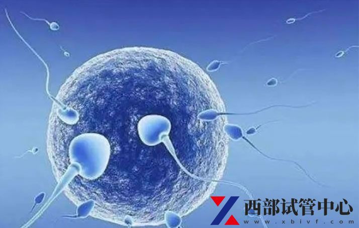 四川省妇幼保健院(图4) sg (43).jpg