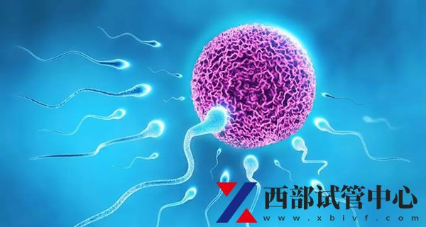 四川大学华西第二医院(图4) sg (89).jpg