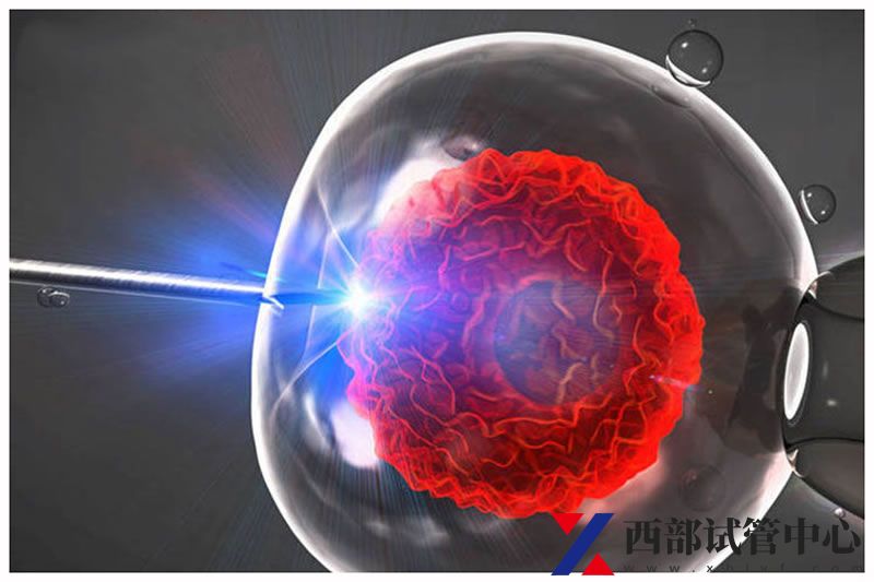 贵州医科大学附属医院(图4) lxb (10).jpg