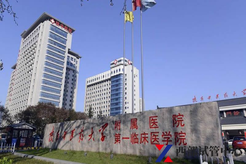 陕西中医药大学附属医院(图4) 4.jpg