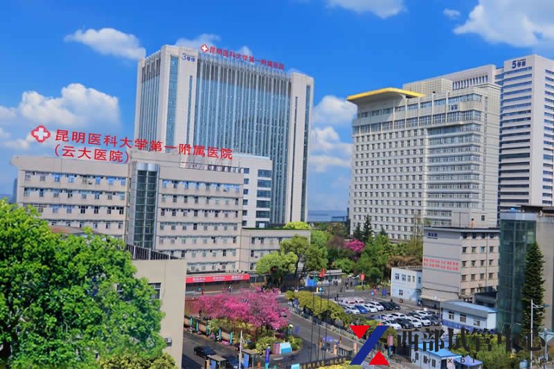 昆明医科大学第一附属医院呈贡医院(图3) main.jpg