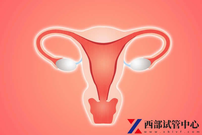 做试管婴儿身体并没有想象中难受,积极配合医生即可(图1) sg (2).jpg