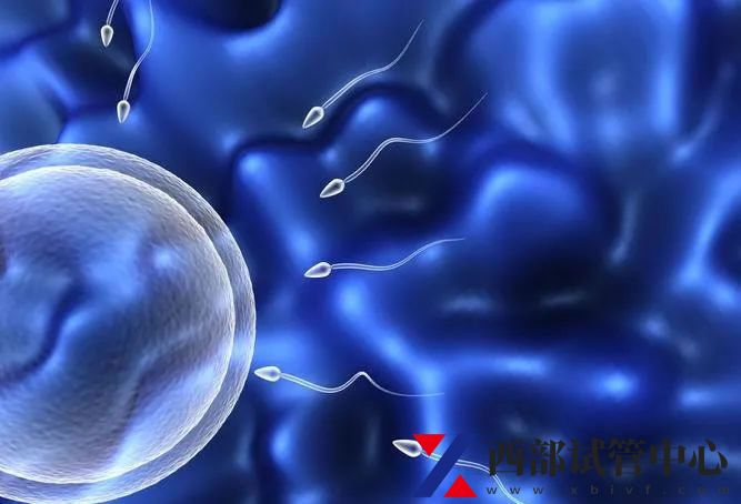 做试管婴儿身体并没有想象中难受,积极配合医生即可(图2) sg (49).jpg