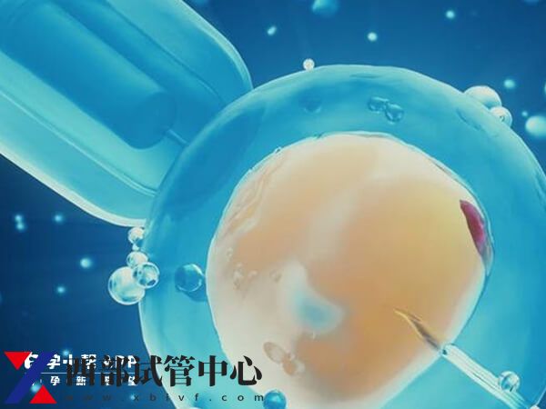 做试管婴儿能不能妊娠,除了看精子质量这两方面也要重视(图2) 影响试管成功率的几大因素