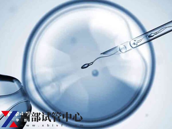 试管婴儿一次成功少之又少,想好孕选择适合的方案很重要(图1) 做试管成功的几率有多大