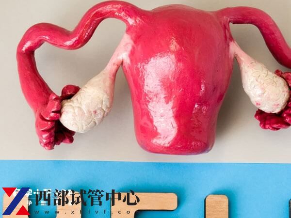 解读试管婴儿真实风险,流产、伤害身体都可能出现(图2) 试管婴儿的风险