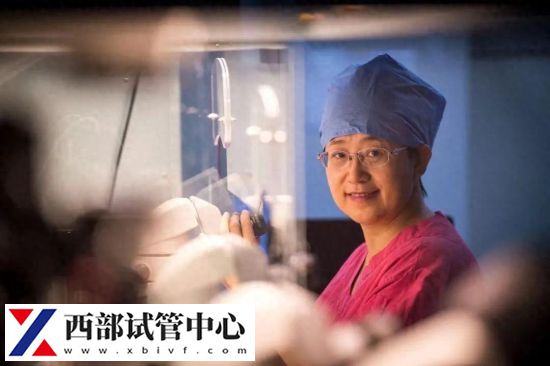 北大常务副校长:适度有序放开冻卵服务限制(图1) 北大常务副校长:适度有序放开冻卵服务限制(图1)