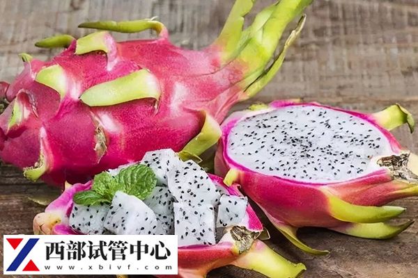 顺产产妇必吃12种水果汇总,前6种适合坐月子食用(图2) 火龙果属于热带水果