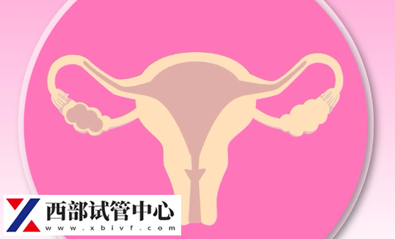 30岁女性子宫内膜异位1到4期区别,严重程度、病变范围都很明显(图2) 1期子宫内膜异位症患者通常无明显症状