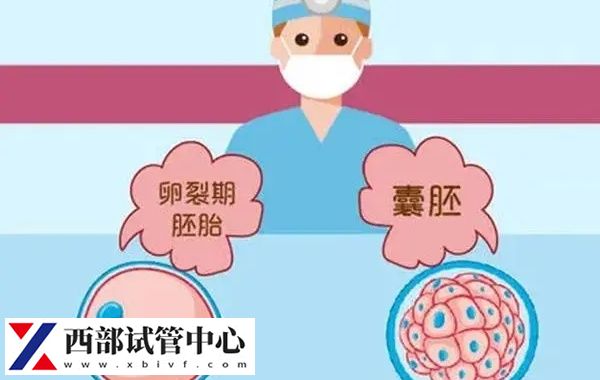 分享囊胚级别成功率排列表,等级越高越容易着床(图1) 4级囊胚的着床成功率50-60%