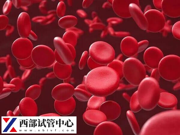 地中海贫血做试管婴儿有什么影响(图1) 地中海贫血做试管前要做基因检查