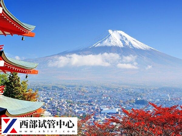 日本做试管婴儿怎么收费(图1) 日本试管婴儿收费并不贵