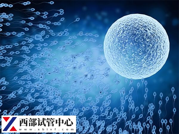 试管婴儿每个人最多可以做几次(图2) 试管婴儿二次成功率较高