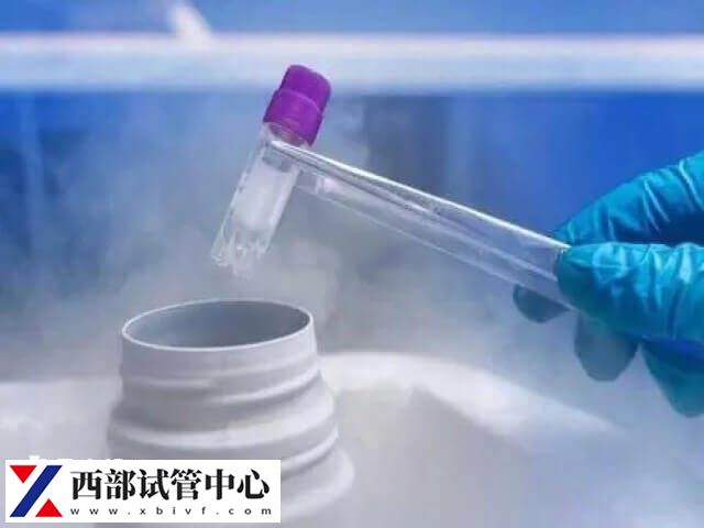 试管移植冻胚有哪些流程(图1) 试管婴儿移植冻胚的流程