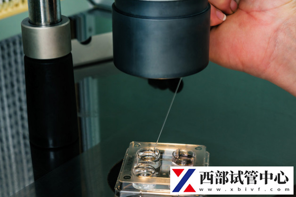 试管婴儿移植最佳时间是什么时候?揭秘科学安排的重要性!(图2) 什么是试管种植窗