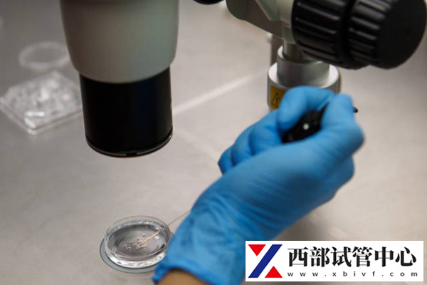 高龄女性做第三代试管好吗?了解这3点后再决定!(图1) 高龄女性有哪些生育问题