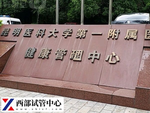 昆明三代世预赛直播免费观看名单