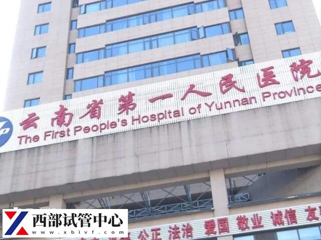 昆明三代世预赛直播免费观看哪家好