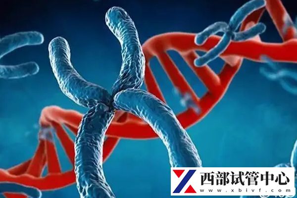 贵阳医学院附属医院三代试管怎么样,最新成功率数据分享(图2) 基因异常可做三代试管