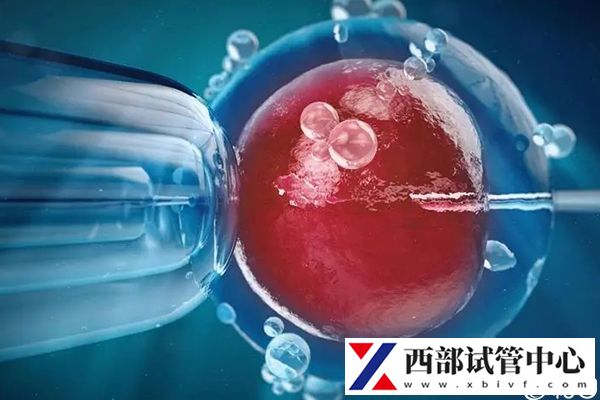 宁夏人工授精医院排名来袭,银川最好私立公立皆在其中(图1) 做人工授精可以去宁夏