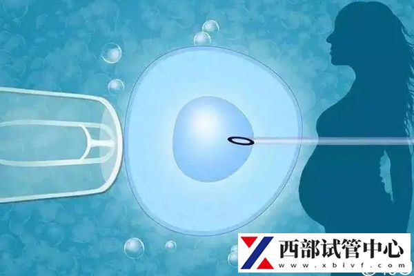 兰大二院做试管婴儿怎么样,助孕成功率数据公布(图2) 兰大二院试管成功率不低