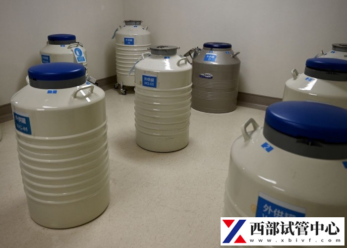 青海试管婴儿报销政策(图1) d88c557a4bf0df46d8dc7ebfdbf314e9_Zm9rBYy6A11729129147631.jpeg