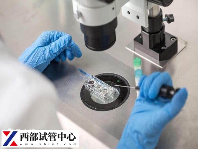 冻胚移植后小腹用力会怎样(图1) 移植后小腹避免用力