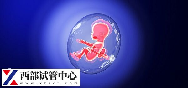 为什么试管前要检查AMH(图1) 试管婴儿术前AMH检查是什么?