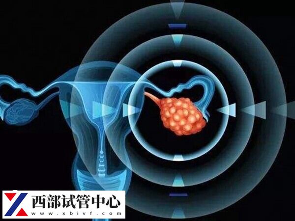 激素水平正常才能维持胚胎着床