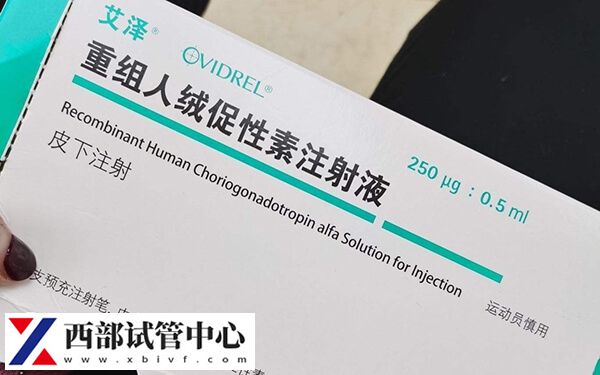 夜针艾泽是注射用重组人绒促性素