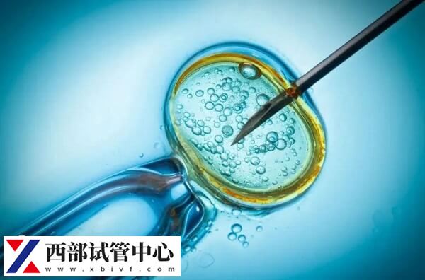 试管成功着床后早期症状有哪些(图2) 胚胎着床成功后食欲会突然改变