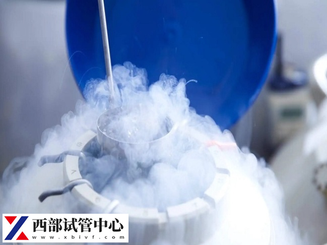 胚胎可以保存在-196摄氏度超低温环境下