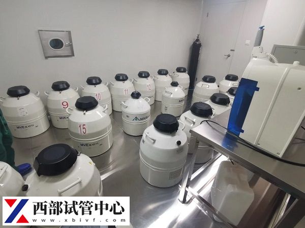 剩余的胚胎可以冷冻保存