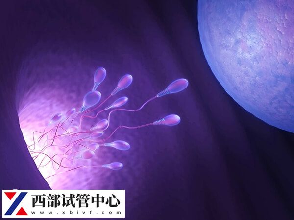 贵州有私立医院能做三代试管生男孩吗?(图1) 贵州有两家公立医院开展了三代试管婴儿技术